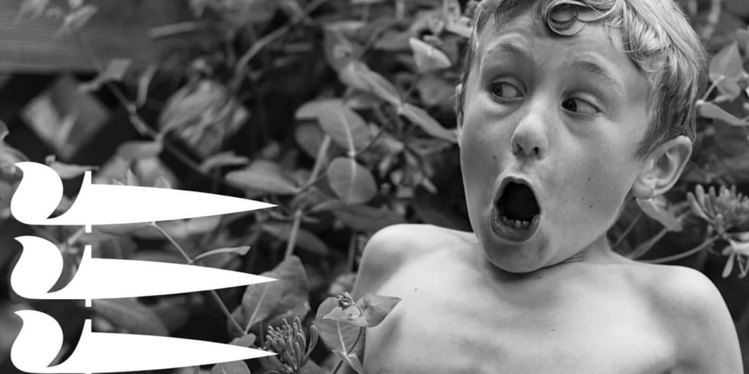 FEAR & FANTASY FESTIVAL